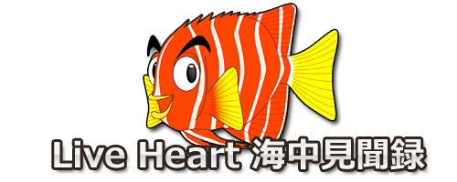 愛知県豊川市の LIVE HEART 海中見聞録